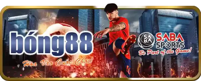 Đá Gà Trực Tuyến VB77 Nhà Cái